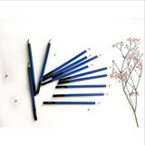 12 pièces de crayon de croquis ensemble de crayons de croquis fournitures d'art ensemble de stylos de peinture crayon de boît