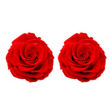 Fleur éternelle 6-7cm tête de rose 2 cadeau de fleur, cadeau de Saint Valentin, cadeau de fleur de fleur éternelle de rose ro