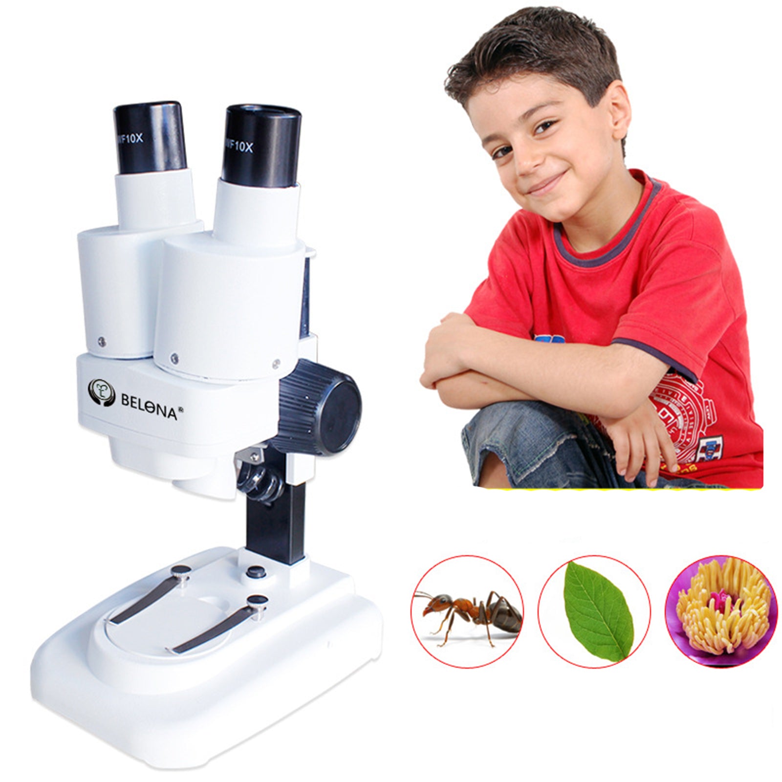 TD® Microscope stéréo stéréo binoculaire Étudiants et enfants Vulgarisation des sciences Grossissement 20 fois pour voir les plantes