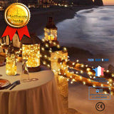 TD® Guirlande lumineuse LED Fête de mariage Décoration de noël Fil de riz 10M Blanc chaud