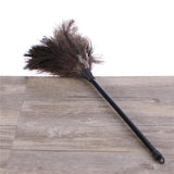 TD® Dusters de plumes d'autruche avec outil de brosse de nettoyage avec manches longues en plastique - Accesssoire de nettoyage