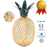 TD® guirlande lumineuse ananas boules led extérieur anniversaire intérieur lanternes dorées pile chambre enfant chinoise jaune fête