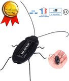 TD® Blatte Solaire En Plastique Jouets Enfants Garçons Filles Éducation Préscolaire Insectes Automatique Insectes Noir