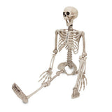 TD® Squelette en plastique 90cm  Blanc Squelette humain A suspendre  Squelette en plastique Conçu pour les décorations d'Halloween