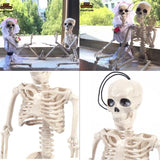 TD® Décoration Halloween Squelette Humain Suspendu Horreur/ Fêtes  Halloween Accessoires en Plastique 40 X 10 cm