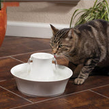TD® fontaine automatique pour animaux avec de l'oxygène actif pour les chats et les chiens circulation automatique fontaine en céram