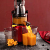 INN® Presse-agrumes Ménage Jus Séparation Fruits Légumes Viande Multi-fonction Vis Extrusion Presse-agrumes Résidus Jus Séparation