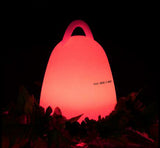 TD® lanterne festive lampe  installation et utilisation simple LED couleurs et intensités différentes accessoire décoration soirées