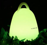 TD® lanterne festive lampe  installation et utilisation simple LED couleurs et intensités différentes accessoire décoration soirées