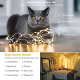 TD® Guirlande Lumineuse LED à Piles,5M 50 LEDs 8 Modes Avec Télécommande, pour Jardin,Noël ,Mariage,Soirée, (Blanc Chaud, ).