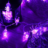 TD® 1 pc solaire guirlande lumineuse LED fée décoration romantique lampes de fête pour jardin  GUIRLANDE LUMINEUSE INTERIEURE