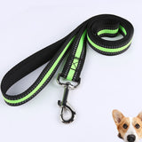 Laisse en Nylon réfléchissant pour chien, 120cm, laisse pour animaux de compagnie, entraînement à la marche et à la [B639B39]