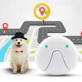 INN® Localisateur d'animaux de compagnie GPS Localisateur de localisation WIFI Dispositif anti-perte d'animaux de compagnie de chat