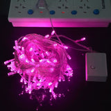 TD® Guirlande lumineuse Led extérieure 10 M 100 étanche lampe de bande de vacance - Modèle: Rose AC110V US Plug