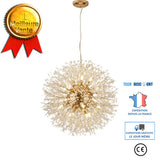 TD® lustre pissenlit lampe de plafond led decoration intérieur extérieur maison chambre enfant salon lumiere design pas cher fer