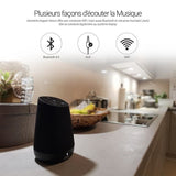 TD® Enceinte Haut-Parleur avec service vocal Haut parleur Wifi Bluetooth Assistance Vocal Amazon sans fil wifi, Bluetooth, spotify