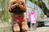 TD® Fontaine à boire portable pour chien de voyage en plein air pour animaux de compagnie