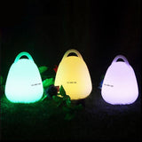 TD® lanterne festive lampe  installation et utilisation simple LED couleurs et intensités différentes accessoire décoration soirées