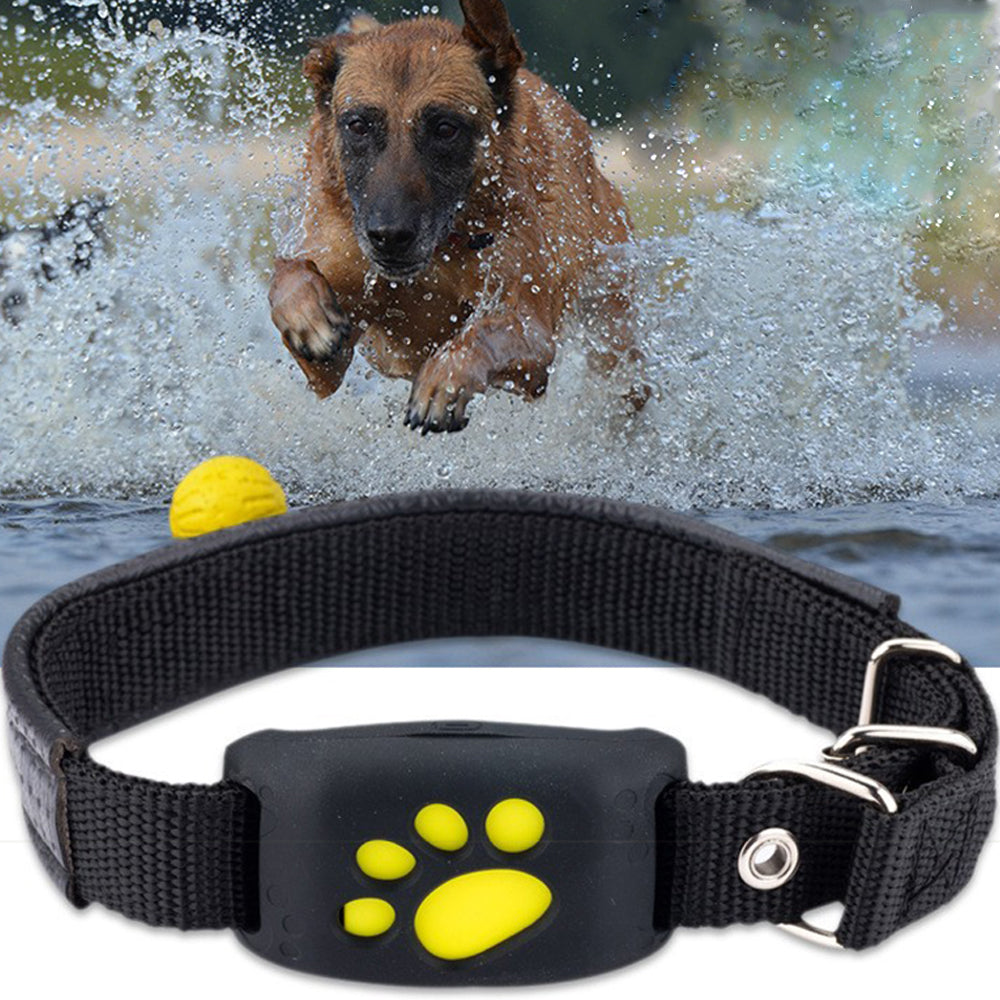 Noir) Collier GPS antiperte, traceur GPS pour chien, localisateur