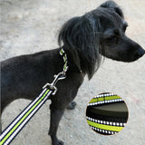 Laisse en Nylon réfléchissant pour chien, 120cm, laisse pour animaux de compagnie, entraînement à la marche et à la [B639B39]