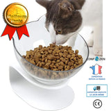 Gamelles et distributeurs pour chats Bangcool Gamelle à Eau pour Chat 15 ° avec col inclinable et Protection antidérapan 1065