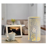 TD® Lampe diffuseur parfum lLumière LED écologique arôme décoration intérieur ambiance multifonction brumisateur parfum élegant