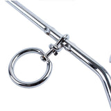 Corde de chaîne de fer à double extrémité un à deux fournitures pour animaux de compagnie corde fixe, corde de traction en ar