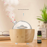 TD® Diffuseur d'arômes multifonctionnel spray hydratant humidificateur  grains de bois Machine à encens Mini diffuseur parfum domest