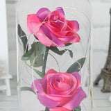 TD® Couvercle en verre LED 2 rosaces cadeaux de décoration de parcelle