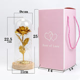 TD® Fleur immortelle rose couvercle en verre coloré fleur dorée musique cadeau lampe saint valentin cadeau décoration ornements