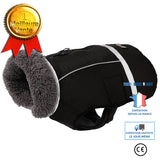 TD® Animal de compagnie automne et hiver épaissi veste gros chien vêtements réfléchissant chaud haut vêtements chien boucle vêtement