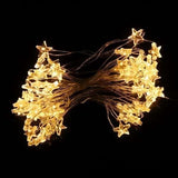 TD® Guirlande lumineuse LED impermeable en fil de cuivre d'etoile Lampe de fee de Noel Decor de fete de mariage, Blanc chaud 2 m