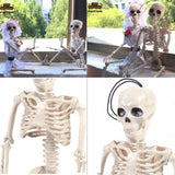 TD® Lot de 3 Squelette Halloween Plastique /Décoration Suspendu Effrayant/ Fête à Thème/ Déco Halloween Accessoires en 40 X 10 cm