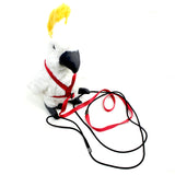 TD® Perroquet corde volante sangle de traction sur corde formation corde de traction perroquet gris corde volante King Kong