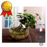 TD® Jardin d'appartement jardin en bocal écologique jardinage décoration intérieur utilisation simple cadeau plantes maison