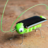 TD® Simulation solaire sauterelle jouet pour enfants technologie des insectes petite production