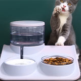 Combinaison d'alimentation et d'abreuvement pour chat Alimentation automatique pour chat et chien
