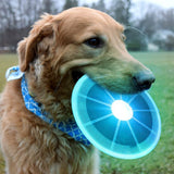TD® Frisbee Disque volant LED/ Lumineux Multicolore Jouets de disque cadeau anniversaire / accessoire de jeux pour animaux