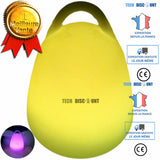 TD® lanterne festive lampe  installation et utilisation simple LED couleurs et intensités différentes accessoire décoration soirées