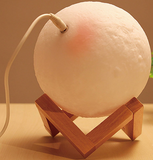 TD® Lampe 3D de Lune - Port d'USB - Support en bois - 20 cm