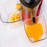 INN® Machine à jus sans filtre, extracteur de jus, multifonction, séparation automatique des jus de légumes et de fruits, JE-B03B ro
