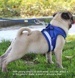 TD® Laisse pour animaux de compagnie double tête une traînée deux chaîne de fer allongée chaîne de chien de câble métallique