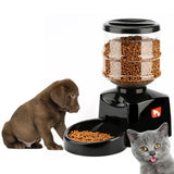 TD® Distributeur Automatique Programmable de Nourriture 5,5L avec Enregistrement Vocal pour Chien, Chat (1-3 repas par jour) Absents