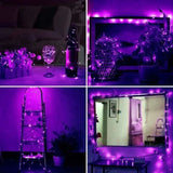 TD® QQ Lot de 3 Guirlande Lumineuse LED 3m 30 LEDs, Pourpre, pour Chambre ,Noël ,Mariage ,Soirée ,Maison, Jardin......