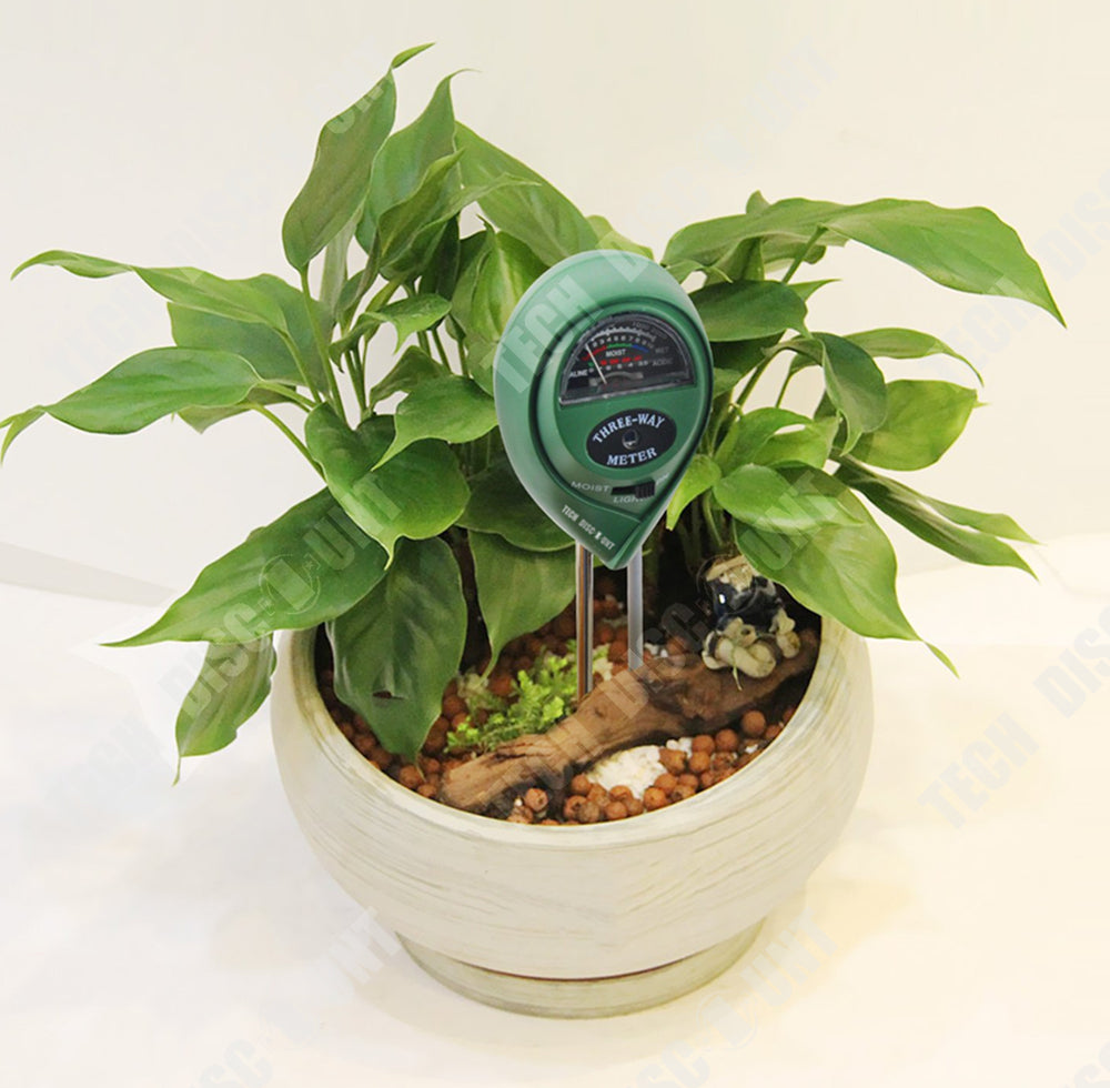 Testeur Humidité Sol NOPALIA - Hygromètre Plante Sans Pile Made In France