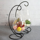 TD® Vase décoration design en verre transparent fer forgé mariage bureau en pot créatif suspendu boule cadeau ornements fleurs origi