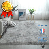 TD® Tapis de Salon Shaggy 200 x 300cm Gris Clair
