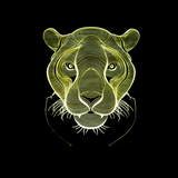 TD® Nouvelle Tête De Lion 3D Nuit Lumière Télécommande Télécommande Tactile Coloré 3D Petite Lampe De Table Cadeau Atmosphère Lampe