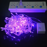 TD® Guirlande lumineuse Led extérieure 10 M 100 étanche lampe de bande de vacance - Modèle: Rose AC110V US Plug