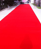 TD® 15m x 1m Tapis Rouge Jetable Rouleau en Polyester pour Mariage Fête Cérémonie Soirés d'Hollywood